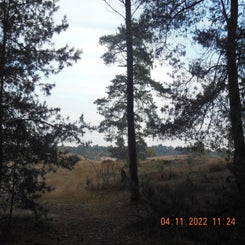 dscn5709jpg.jpg