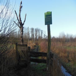 dscn5044jpg.jpg