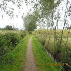 dscn5562jpg.jpg