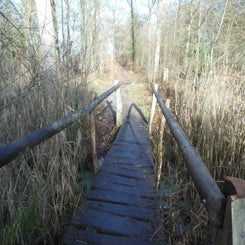 dscn5075jpg.jpg