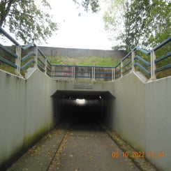dscn5575jpg.jpg