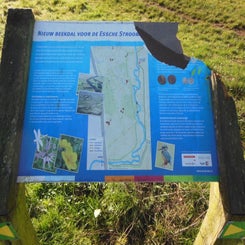 dscn5058jpg.jpg