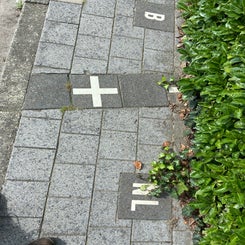 img_0451jpeg.jpeg