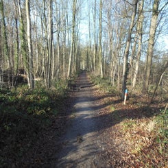 dscn5073jpg.jpg