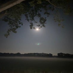 img_0354jpeg.jpeg