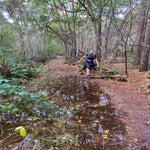 img_2761jpeg-1.jpeg