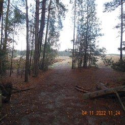 dscn5710jpg.jpg