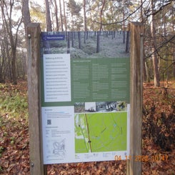 dscn5704jpg.jpg