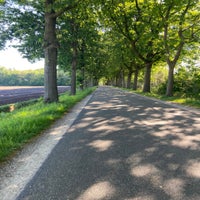 img_6023-standard.jpg