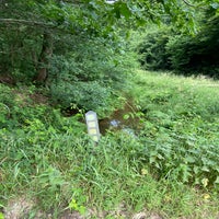 img_6101-standard.jpg