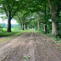 img_6110-standard.jpg