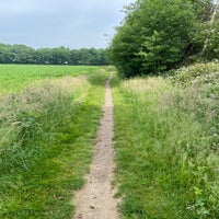 img_6133-standard.jpg