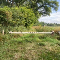 img_6402-standard.jpg