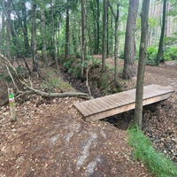img_6406-standard.jpg