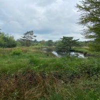 img_6411-standard.jpg