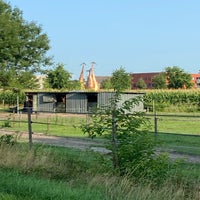 img_6486-standard.jpg