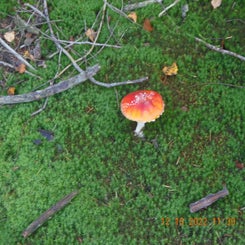 dscn5606jpg.jpg