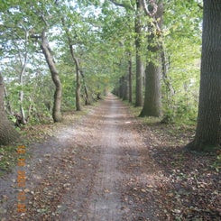 dscn5628jpg.jpg