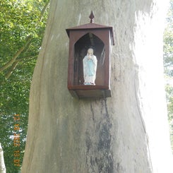 dscn5626jpg.jpg