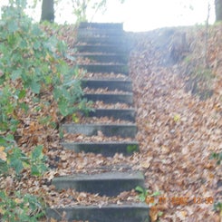dscn5730jpg.jpg