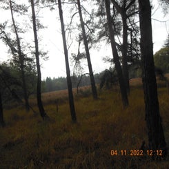 dscn5722jpg.jpg