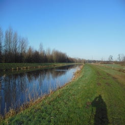 dscn5049jpg.jpg