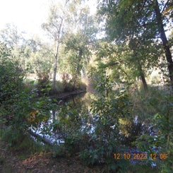 dscn5615jpg.jpg