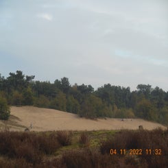 dscn5716jpg.jpg