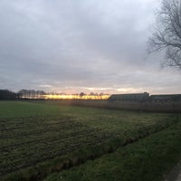 A2830354-F39B-42C1-A5D2-44E07B4FED82.jpeg