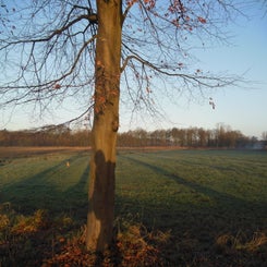 dscn5017jpg.jpg