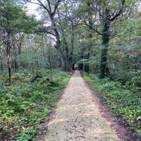 img_2579jpeg.jpeg