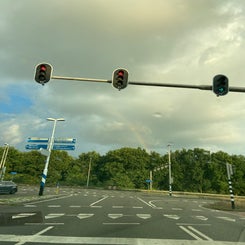 img_03451jpeg.jpeg