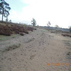 dscn5713jpg.jpg