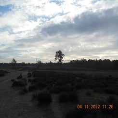dscn5711jpg.jpg