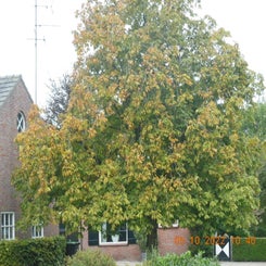 dscn5556jpg.jpg