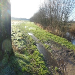 dscn5047jpg.jpg