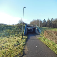 dscn5042jpg.jpg