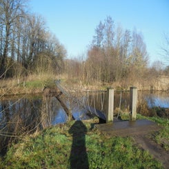 dscn5056jpg.jpg