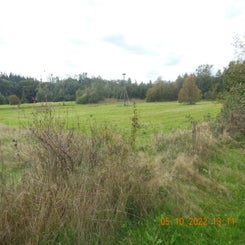 dscn5580jpg.jpg