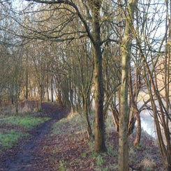 dscn5020jpg.jpg