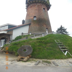 dscn5565jpg.jpg