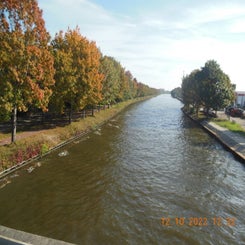 dscn5621jpg.jpg
