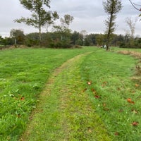 img_2729jpeg.jpeg