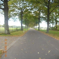 dscn5632jpg.jpg