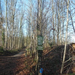 dscn5072jpg.jpg