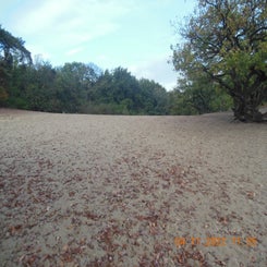 dscn5718jpg.jpg