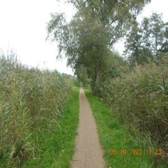 dscn5560jpg.jpg