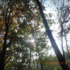 dscn5602jpg.jpg