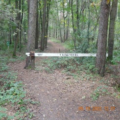 dscn5571jpg.jpg