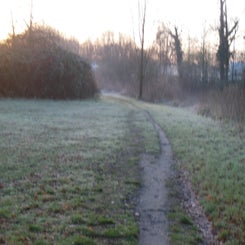 dscn5007jpg.jpg